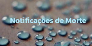 Notificações de Morte na CVP